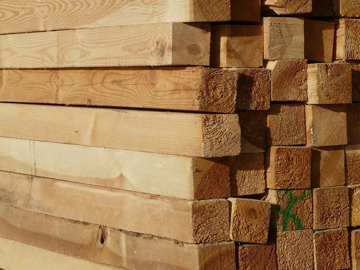 Is Larch Timber Durable? Comparing Larch with Oak and Treated Pine
